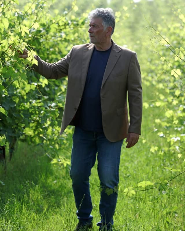 Daniele Malavasi mit einem Glas Lugana und seinem Hund zwischen den Rebzeilen seines Weinbergs in Pozzolengo